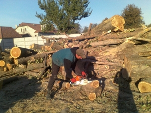 Дрова твердых пород грн.500