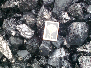 Продам уголь АК 4000 тонн грн.0