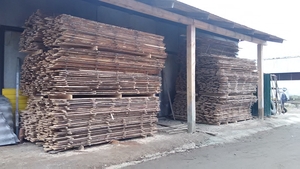 Пиломатериалы ДУБ, СОСНА, ЯСЕНЬ и т.д. грн.0