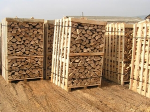 Італійська фірма зацікавлена в закупівлі дров колених грн.0