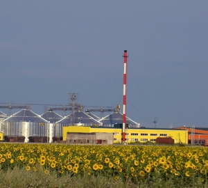 Мировые лидеры в производстве подсолнечного шрота продолжают наращивать объёмы ##f_price|CURR_SIGN##