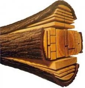 Лес кругляк  купим грн.0