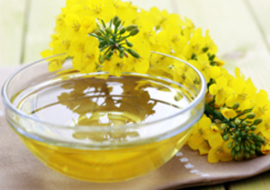 Рапсовое масло Для Биодизеля ДИН 51605  грн.685