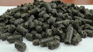 Куплю пеллеты из лузги оптом грн.0