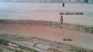 Ясень пиломатериалы от производителя оптом грн.15000