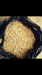 Продам гигиенические наполнители для животных грн.100