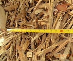 Щепа из твердых пород деревьев грн.750