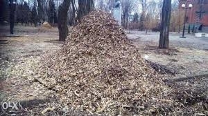 Продам щепу топливную, промышленную грн.150
