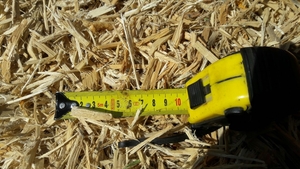 Организация реализует древесную щепу грн.140