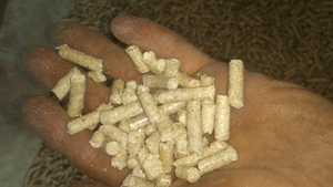 Пеллет 6мм грн.1900