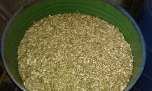 Щепа лиственных пород  грн.400