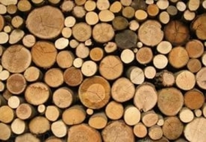 Реализуем кругляк дуба 1-2-3 сорт грн.0