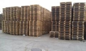 Продам европоддоны новые грн.0