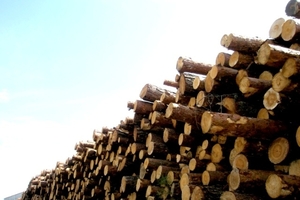 Лес круглый хвойных пород грн.0