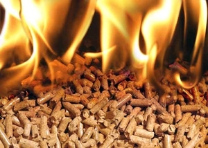 Пеллеты топливные от производителя грн.1600