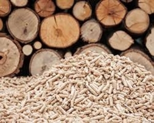 Пілети  3 окорованої хвої грн.2600