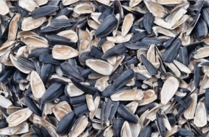 Закупим подсолнечник, отходы подсолнечника грн.0