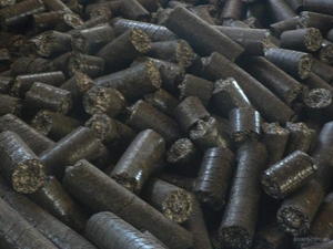 Купим топливный пеллет из шелухи подсолнечника грн.1