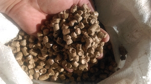 Пеллета сосна грн.1800