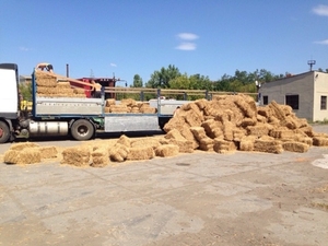 Солома просяная в тюках грн.0