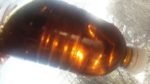 Продаем подсолнечное масло техническое грн.650