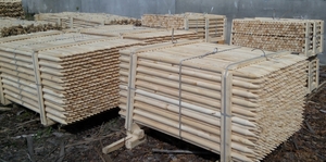 Колья оцилиндрованные (окоренные) грн.1