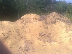 Продам опилки, стружка сосны в больших обьемах грн.0