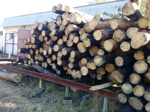 Призводитель реализует шпалы  из сосны не пропитанные грн.