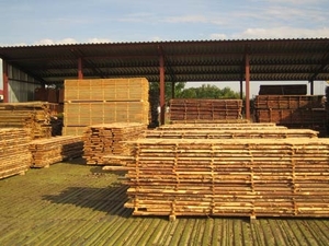 Услуги по сушке любой древесины грн.0