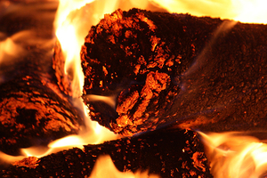 Лигнин, сорбент, нефтесорбент, Lignin, sorbent грн.