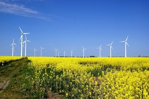 Германия решила сократить количество ветроэлектростанций ##f_price|CURR_SIGN##