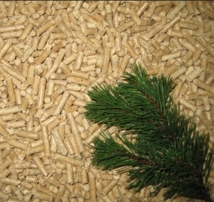 Европейские активисты предупреждают о возможной опасности растущего спроса на пеллеты ##f_price|CURR_SIGN##