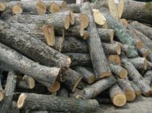 Продам древесину, дрова фруктовых пород (яблоня, груша) грн.300