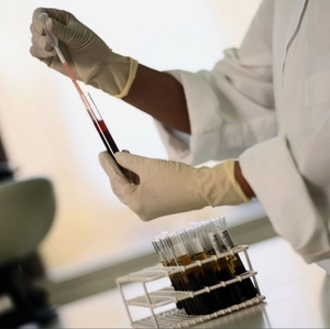 Швейцарские химики разработали метод использования лигнина в производстве биотоплива ##f_price|CURR_SIGN##