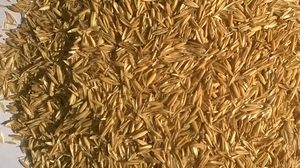 Продам шелуху для пеллет грн.650