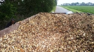 Продам щепу топливную грн.300