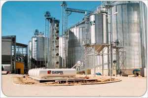 Постоянно покупаем рапсовое масло грн.650