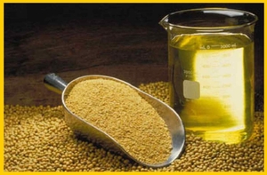 Куплю соевое масло на экспорт грн.0