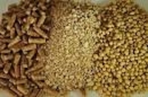 Куплю соевый шрот на экспорт грн.0