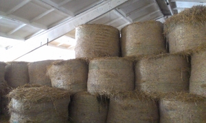 Продам солому в тюках грн.0
