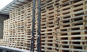 Продам поддоны не евро грн.0