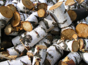 Дрова из березы грн.0