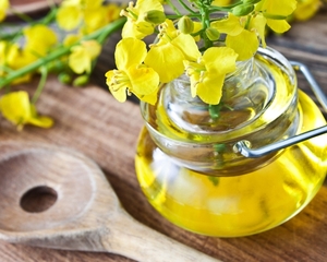 Польша наращивает импорт украинского рапсового масла ##f_price|CURR_SIGN##