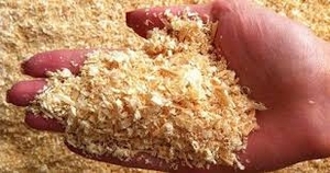 Куплю опилки грн.0