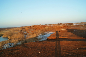 Продам гидролизный лигнин  грн.