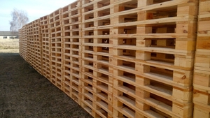 Виробник пропонує широкий асортимент дерев'яних піддонів грн.85