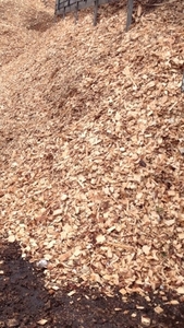 Щепа деревна. Продаж, можлива доставка грн.400