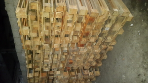 Продам європіддони 400 шт. грн.0