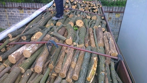 Продаю дрова Дуб, Граб грн.500