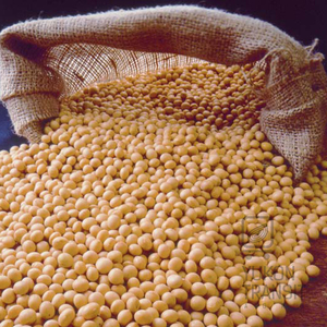 Куплю дорого сою грн.0